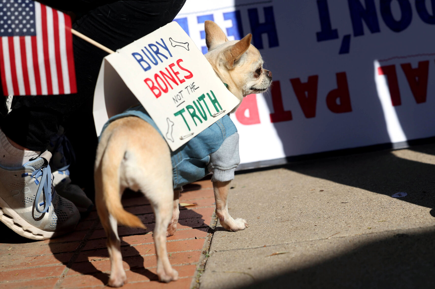 No Kings protest Downtown Tucson